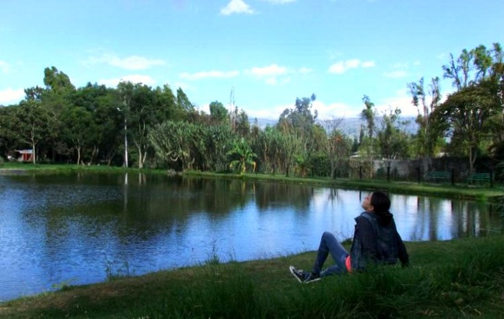 whatsappimage2019-01-29at20.50.31